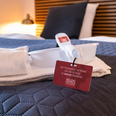 Hotel Milling Windsor 3*