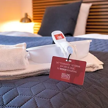 Hotel Milling Windsor 3*