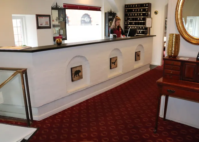 Milling Windsor Отель Оденсе